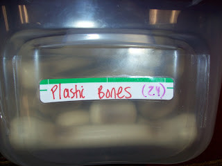 Plastic bones labeled for classroom use